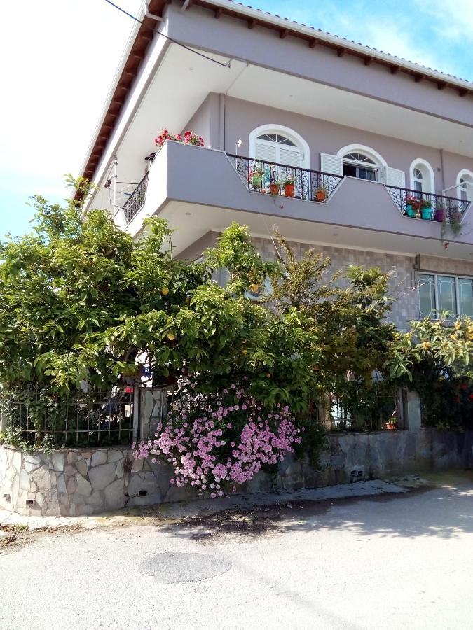 Vonitsa Loft Apartment 1 Buitenkant foto